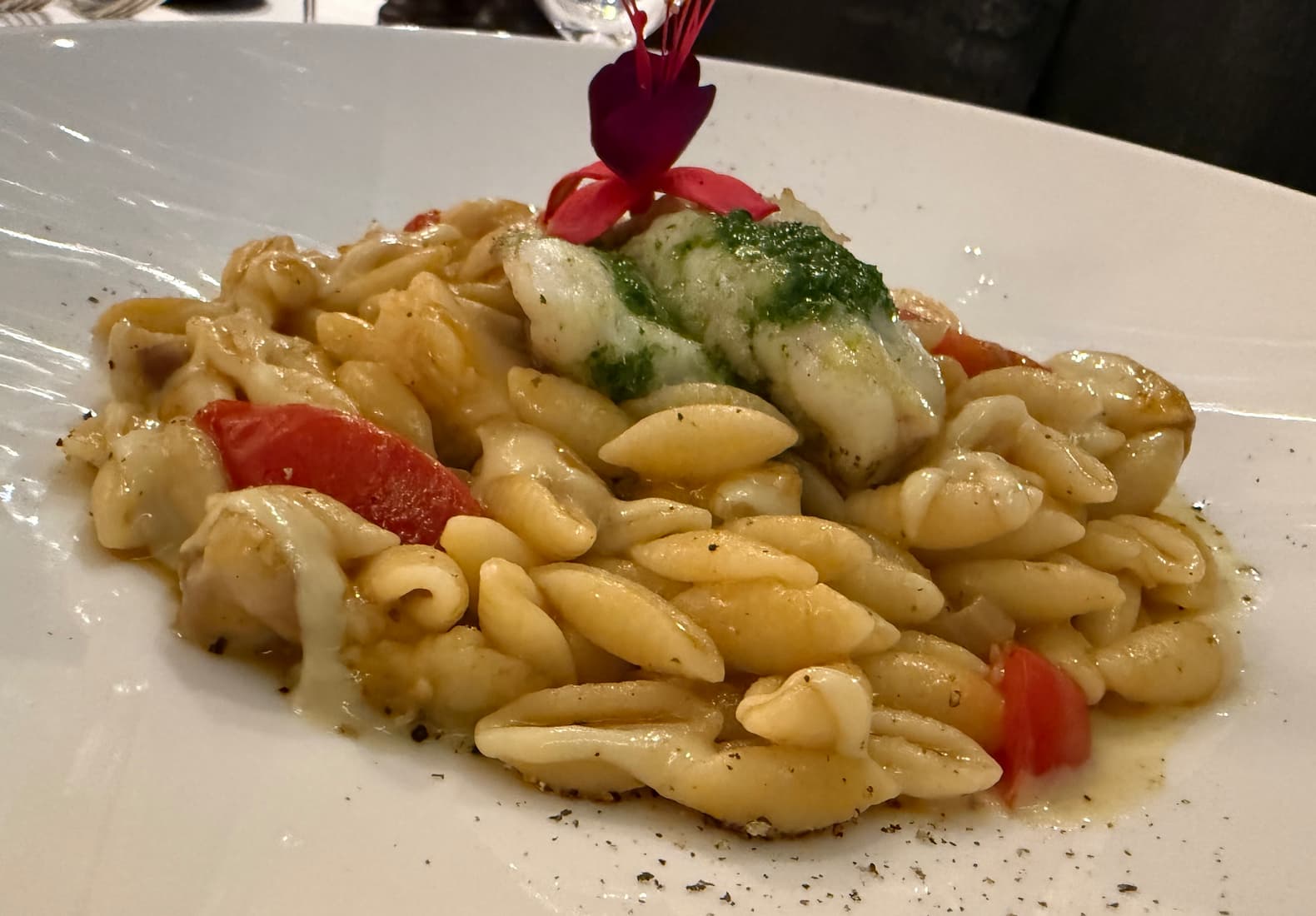 Pasta Leonardo Hannover
