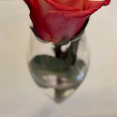 ig media video 18088996994617696 cb275df1
